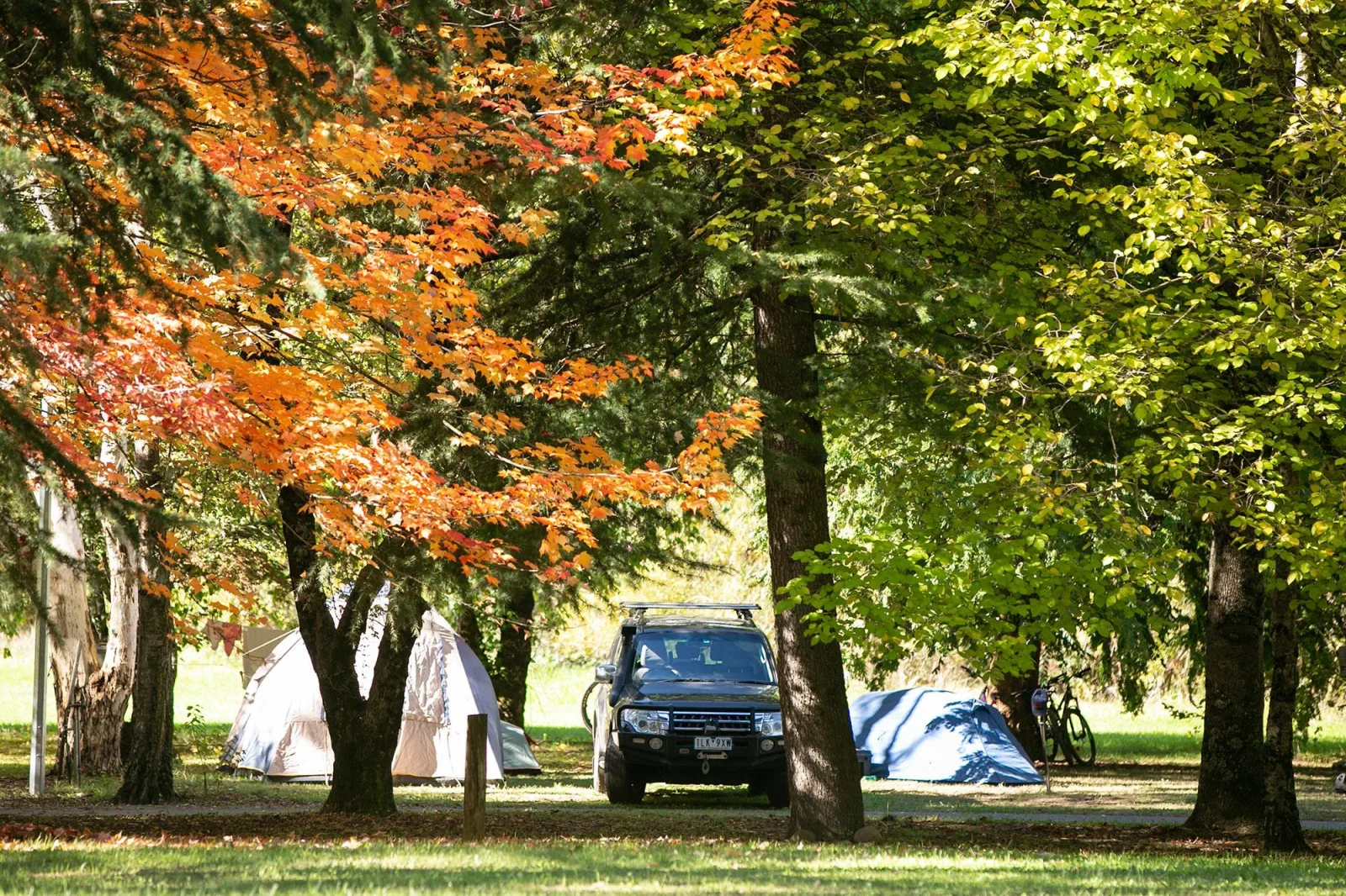 Tawonga Tourist Park