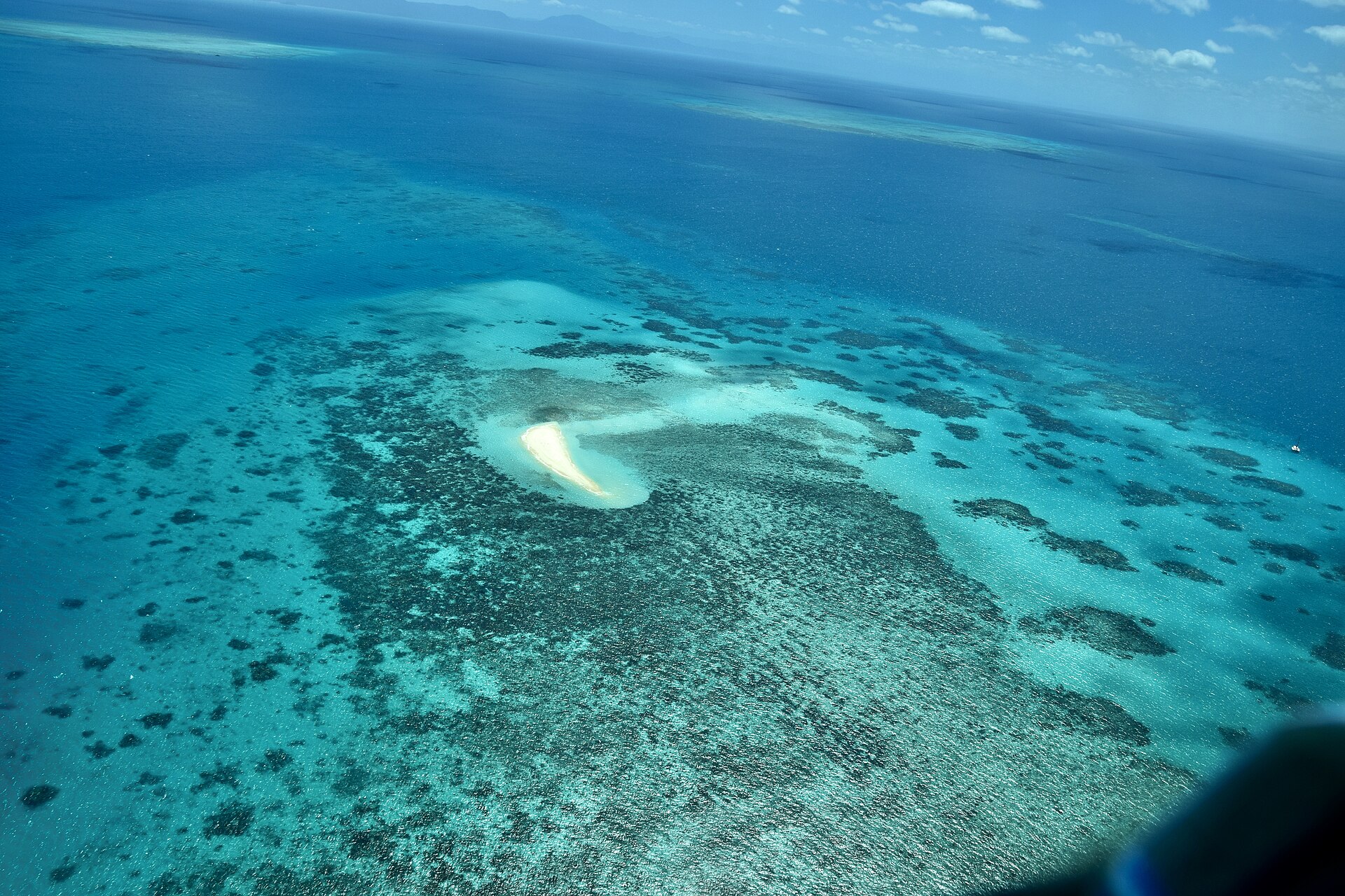 When to Visit the Great Barrier Reef: Month-by-Month Guide for Snorkelling, Diving and Whale Watching