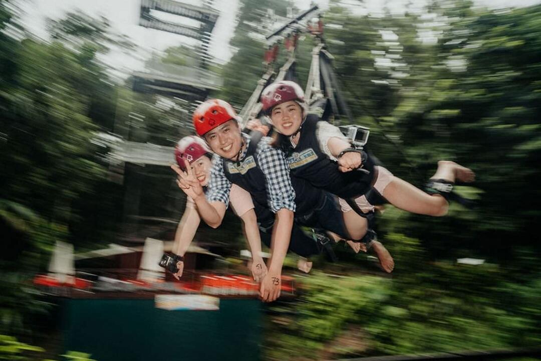 Giant Jungle Swing Gift Voucher - Cairns QLD