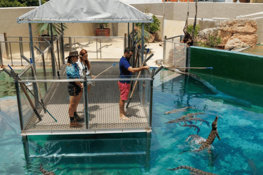 Exclusive Crocodile VIP Feeding Adventure - Gift Voucher or Instant Booking - Darwin NT