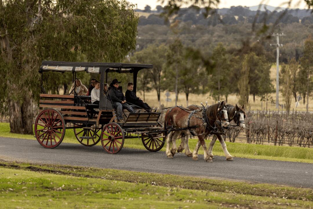 Hunter Valley Wine and Produce Journey Pokolbin NSW