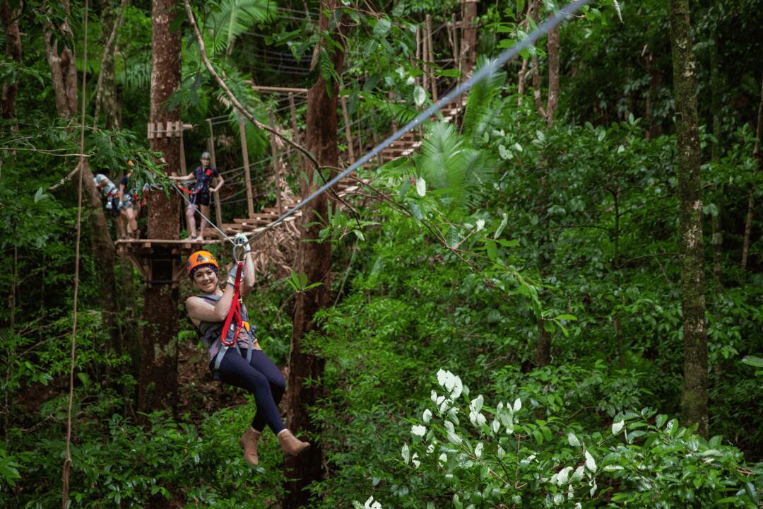 Zipline Canopy Tour - Gift Voucher or Instant Booking - Cape Tribulation QLD