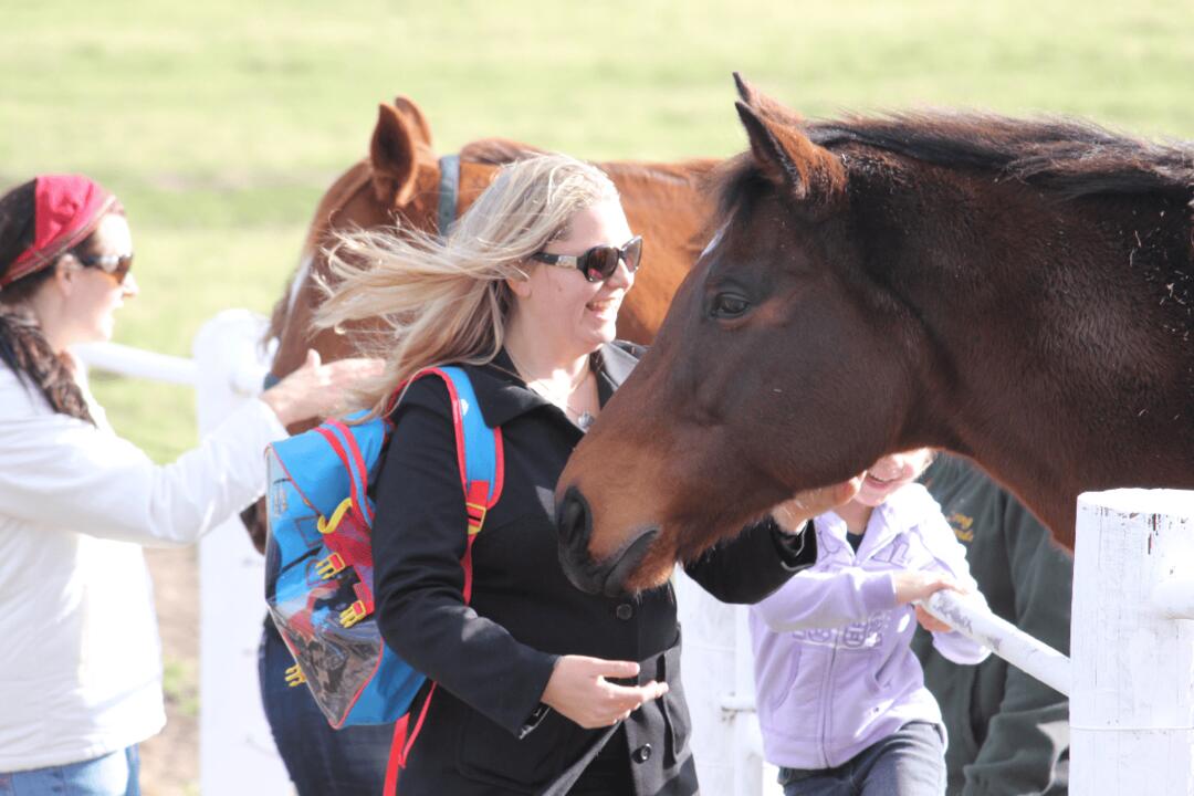 Half Day Racehorse Tour - Gift Voucher or Instant Booking - Melbourne VIC