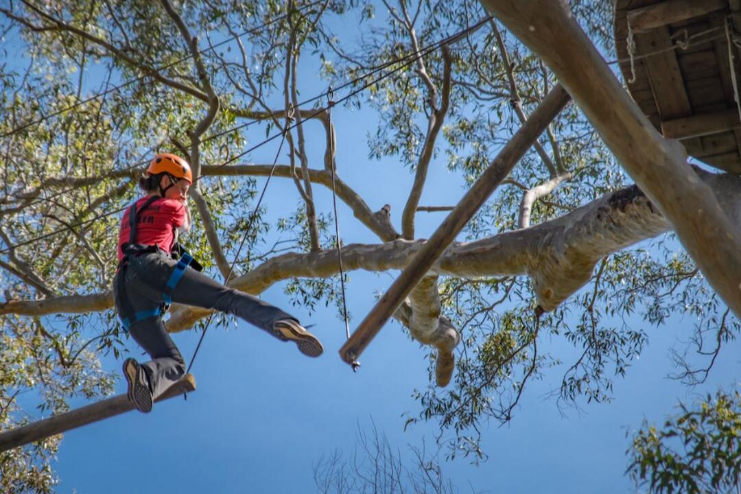 Treetops Ropes Course - Gift Voucher or Instant Booking - Abbotsbury NSW