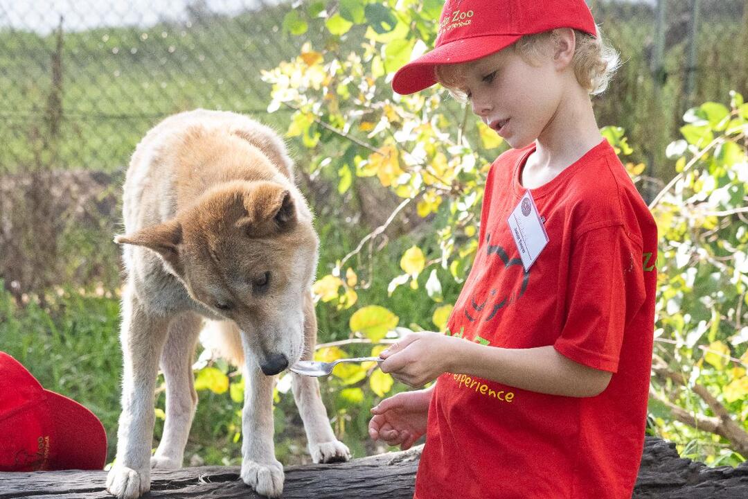 Zookeeper for a Day Gift Voucher - Pinjarra WA