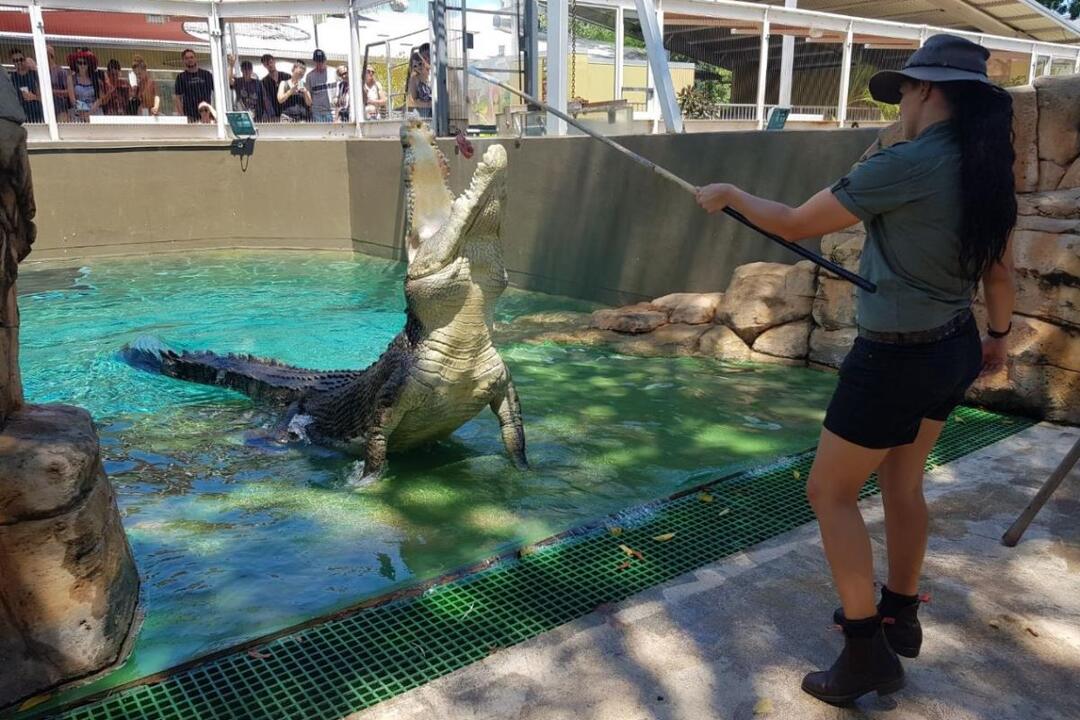Crocosaurus Cove, Family Entry - Gift Voucher or Instant Booking - Darwin NT