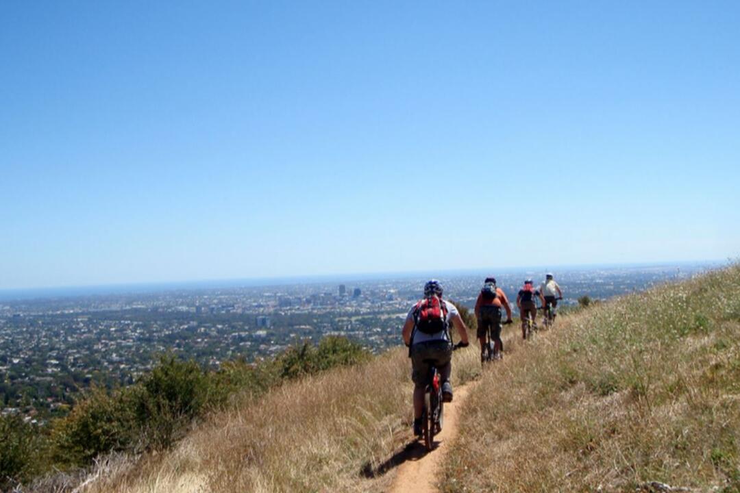 Downhill Biking and Wildlife Encounter for 2 - Gift Voucher or Instant Booking - Adelaide SA