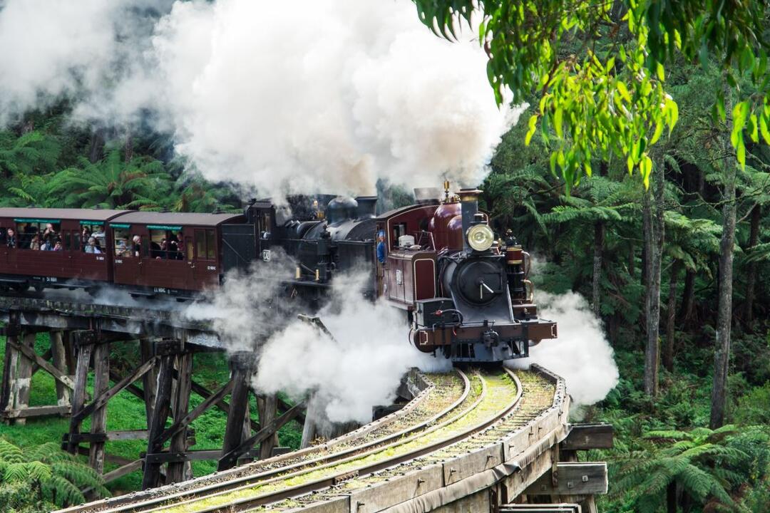 Puffing Billy And Penguin Parade Tour Summerlands VIC