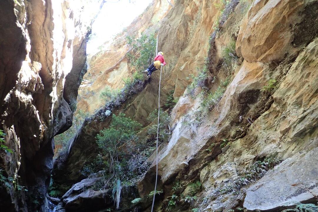 Whungee Whengee Canyon, Blue Mountains - Gift Voucher or Instant Booking - Katoomba NSW