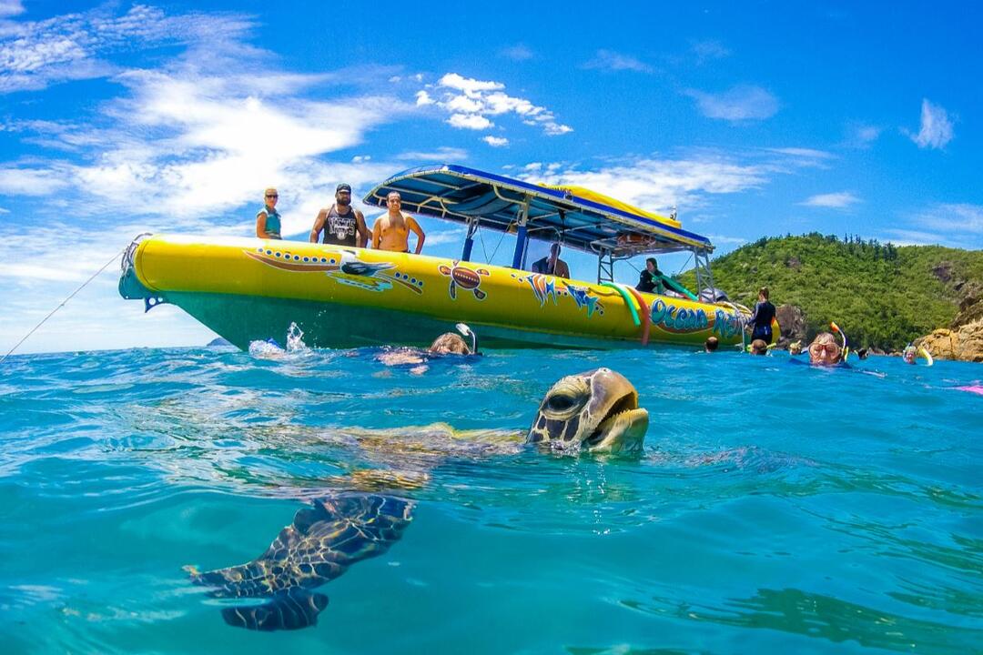 Whitsunday Islands High Speed Boat and Snorkel Instant Booking - Airlie Beach QLD
