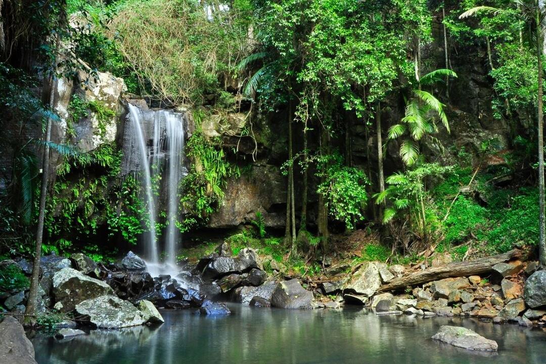 Tastes of Tamborine Mountain Tour Surfers Paradise QLD