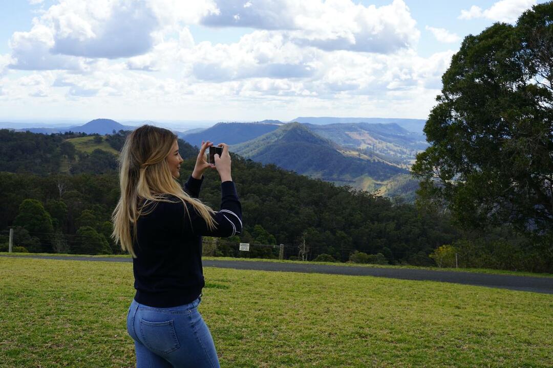 National Park, O'Reilly's and Vineyard Tour Surfers Paradise QLD