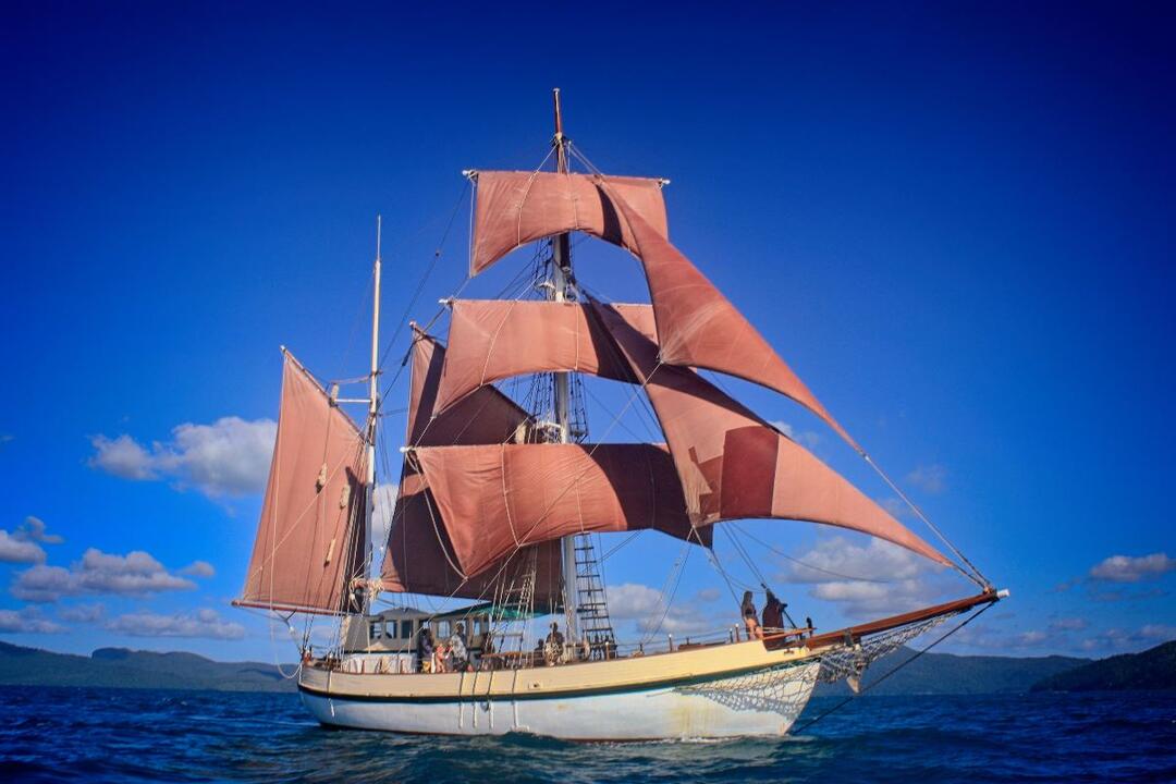 Tall Ship Discovery Cruise on the Coral Trekker Sydney NSW
