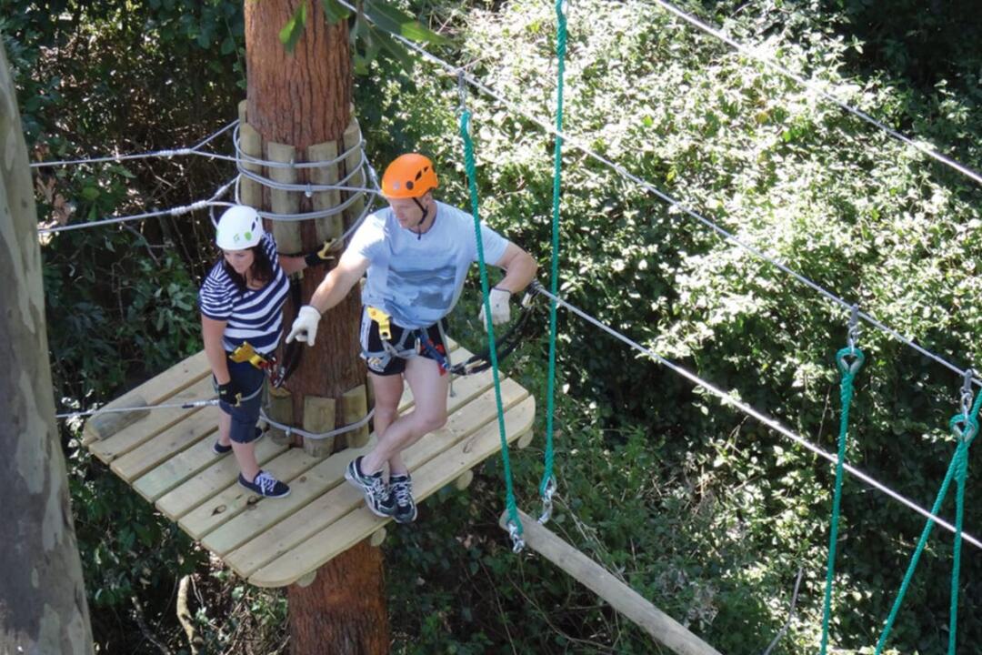 Teen Treetops Ropes Course - Gift Voucher or Instant Booking - Nowra NSW