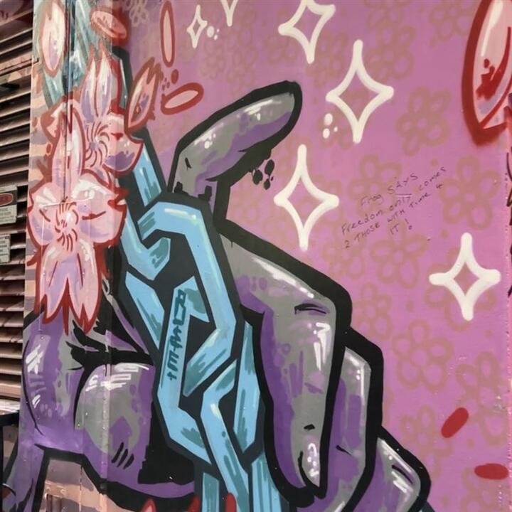 Melbourne Art in the Streets Tour - Gift Voucher or Instant Booking - Melbourne VIC