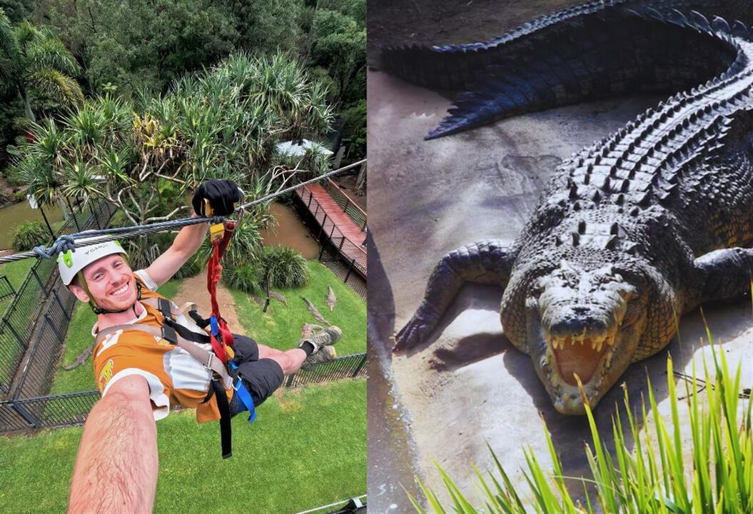 Treetop Challenge and Currumbin Wildlife Sanctuary - Gift Voucher or Instant Booking - Tamborine Mountain QLD