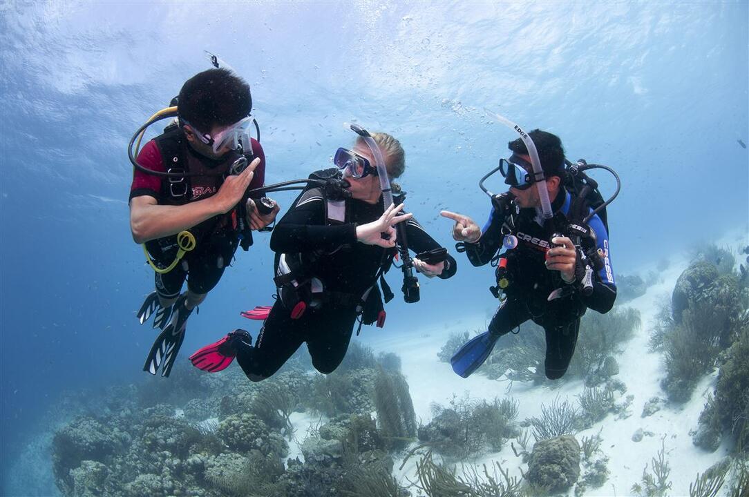 PADI Open Water 3 Day Scuba Diver Course Instant Booking - Gold Coast QLD