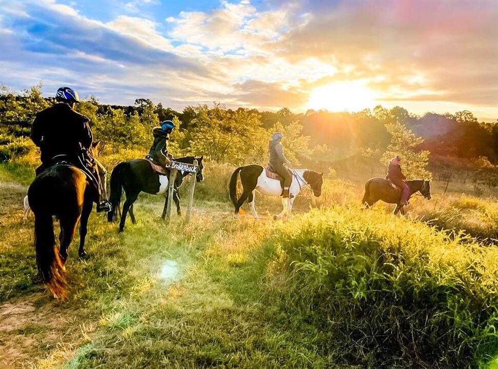 Sunset Horse Ride, 90 Minutes Instant Booking - Pokolbin NSW