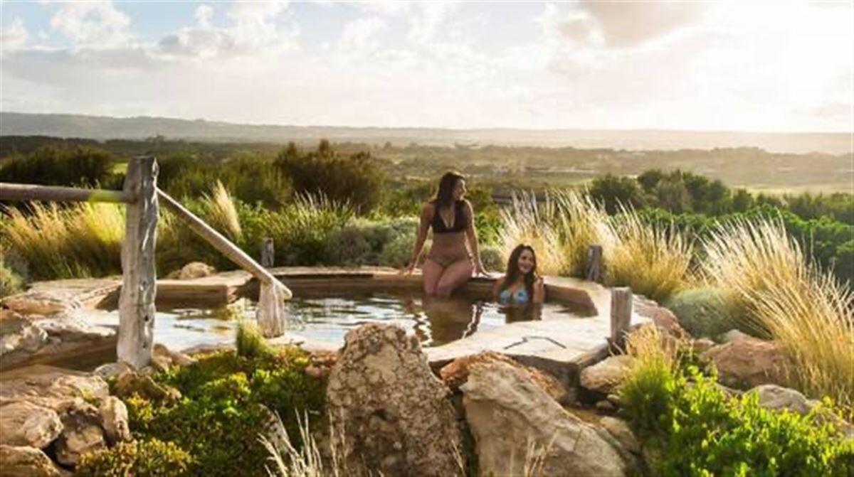 Seals, Sea Dragons and Hot Springs Escape - Gift Voucher or Instant Booking - Sorrento Pier VIC