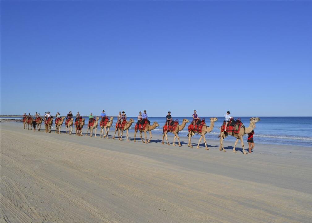 Magical Morning Camel Ride Instant Booking - Broome WA