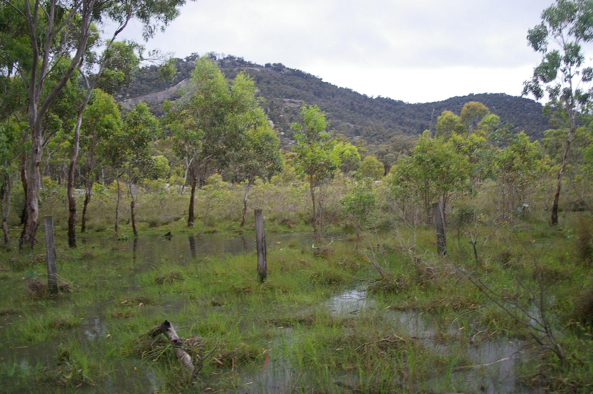 Girraween National Park is an area of the Granite Belt in the Darling Downs region of Queensland, Australia reserved as a national park. Girraween is known for its spectacular flowers, dramatic landscapes and unique wildlife. The park is situated 40 km south of Stanthorpe. The southern boundary of the park is the state border between Queensland and New South Wales. It is a twin park with Bald Rock National Park, which lies across the border in New South Wales, and features Bald Rock, the second-largest monolith (after Uluru) on the continent. Curiously, South Bald Rock and West Bald Rock lie in Girraween National Park in Queensland, not in Bald Rock National Park in New South Wales. It features granite landscapes, balancing boulders, clear streams, wetlands, cascades and open forest. The granite outcroppings, such as the Pyramids and Castle Rock at 1112 m, dominate the local scenery. The park contains many kilometres of graded walking trails to the park's major features like the First Pyramid, Second Pyramid, The Sphinx, Turtle Rock, Underground Creek, the Eye of the Needle and Mount Norman - the highest point in the park at 1267 metres. Fire trails can be followed when venturing into the southern and eastern sections of the park. The park has a temperate climate. During winter snow can fall in the area.