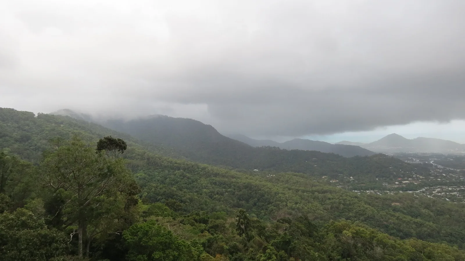 Daintree Rainforest, Queensland, Australia