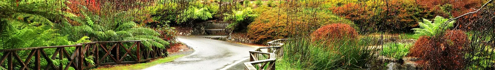The Dandenong Ranges