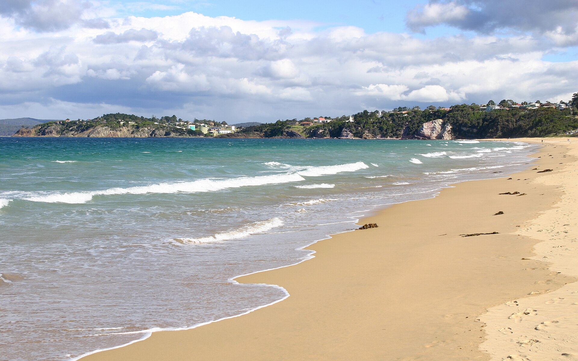 Whale Watching in Australia: Where and When