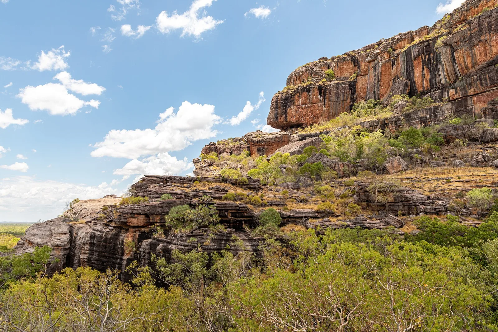 View from Gunwarrdehwarrde Lookout, Kakadu National Park, Northern Territory, AustraliaAs early as the 1930s, local communities and authorities were campaigning for environmental protection in the Northern Territory. In 1956, the park was officially protected under the name Kakadu. In the 1960s, further areas within the current park boundaries were added. In 1979, Kakadu was granted national park status, placing it under stricter protection. In the 1980s, more intensive coordination efforts began between Aboriginal communities, park management, and scientists, including programs to preserve landscapes, animal species, and cultural sites. In 1991, Kakadu was recognized as a UNESCO World Heritage Site along with Uluru-Kata Tjuta, which strengthened its international protection.