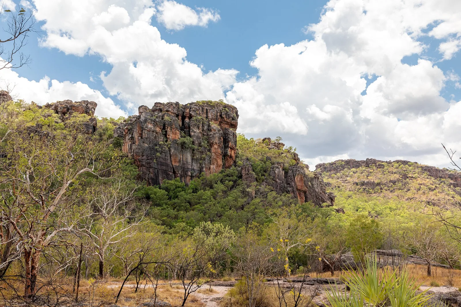 View from Gunwarrdehwarrde Lookout, Kakadu National Park, Northern Territory, AustraliaAs early as the 1930s, local communities and authorities were campaigning for environmental protection in the Northern Territory. In 1956, the park was officially protected under the name Kakadu. In the 1960s, further areas within the current park boundaries were added. In 1979, Kakadu was granted national park status, placing it under stricter protection. In the 1980s, more intensive coordination efforts began between Aboriginal communities, park management, and scientists, including programs to preserve landscapes, animal species, and cultural sites. In 1991, Kakadu was recognized as a UNESCO World Heritage Site along with Uluru-Kata Tjuta, which strengthened its international protection.