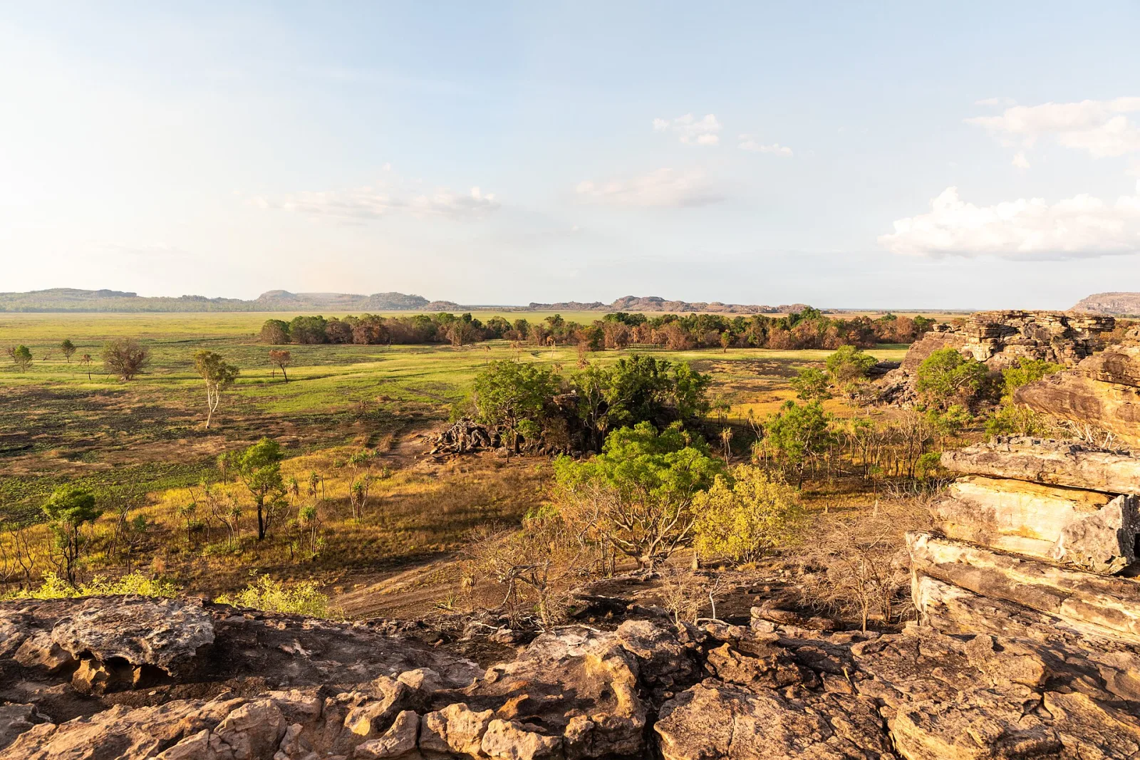 View from Nadap Lookout, Kakadu National Park, Northern Territory, AustraliaAs early as the 1930s, local communities and authorities were campaigning for environmental protection in the Northern Territory. In 1956, the park was officially protected under the name Kakadu. In the 1960s, further areas within the current park boundaries were added. In 1979, Kakadu was granted national park status, placing it under stricter protection. In the 1980s, more intensive coordination efforts began between Aboriginal communities, park management, and scientists, including programs to preserve landscapes, animal species, and cultural sites. In 1991, Kakadu was recognized as a UNESCO World Heritage Site along with Uluru-Kata Tjuta, which strengthened its international protection.