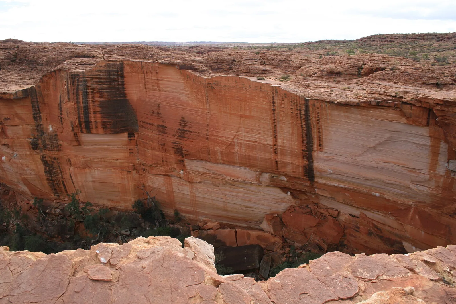 Kings Canyon: Felsabbruchwand. Sie stürzte vor 60 Jahren ab und hinterließ diese Wand