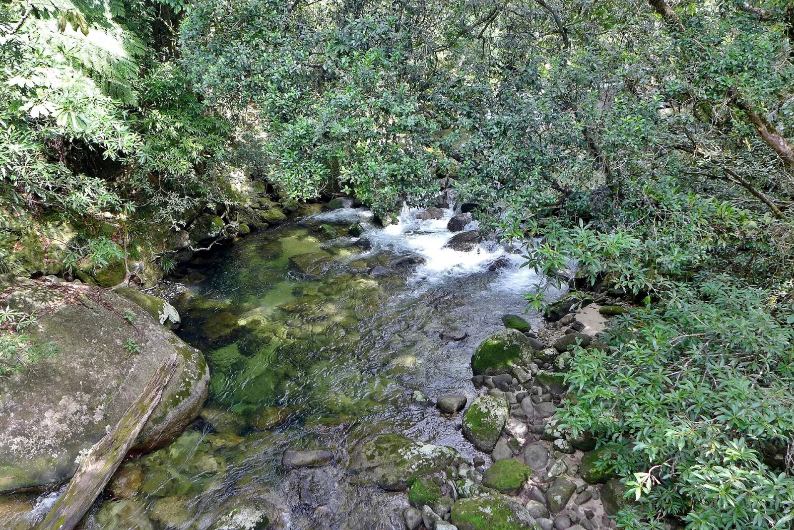 View of Mossman Gorge, Daintree National Park, Far North Queensland, Australia.