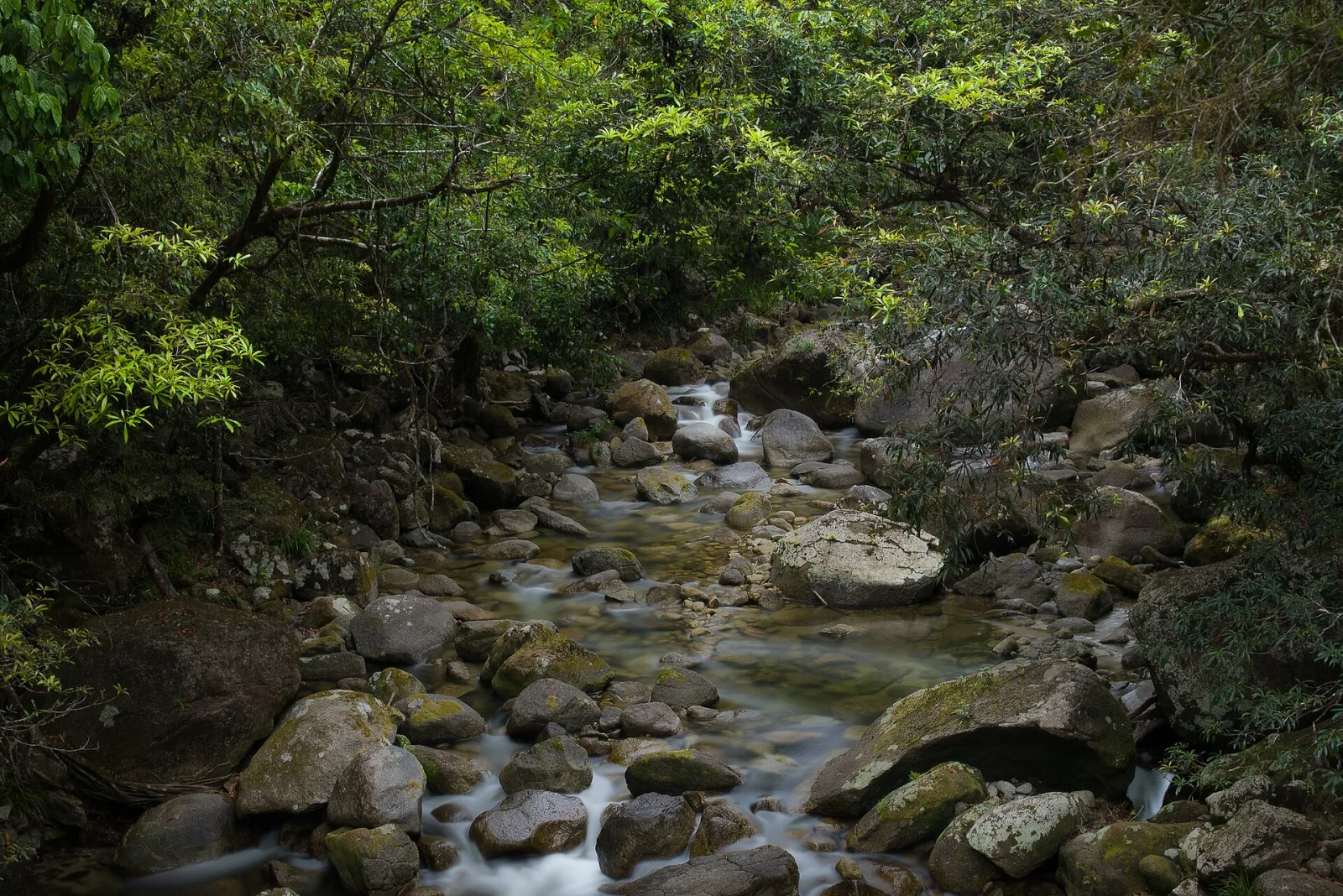 Mossman Gorge is at the Southern end of the Daintree Rainforest World Heritage Area in Far North Queensland, Australia